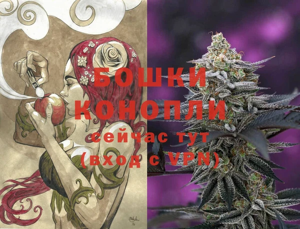 PSILOCYBIN Осташков