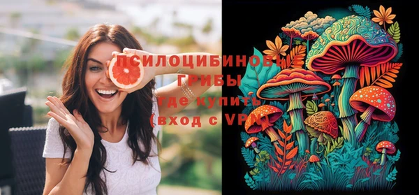 PSILOCYBIN Осташков