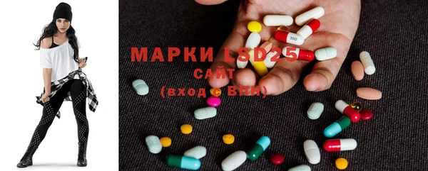 PSILOCYBIN Осташков