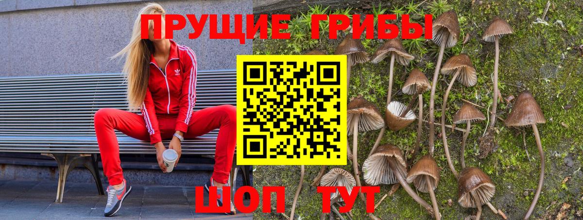 Муравленко  Галлюциногенные грибы мухоморы  Вход с VPN 