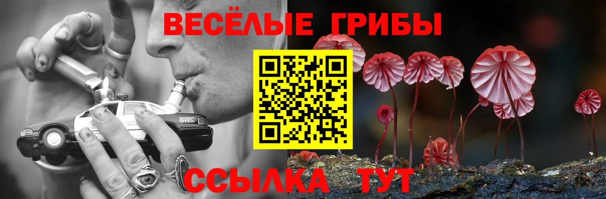 Галлюциногенные грибы Cubensis Муравленко
